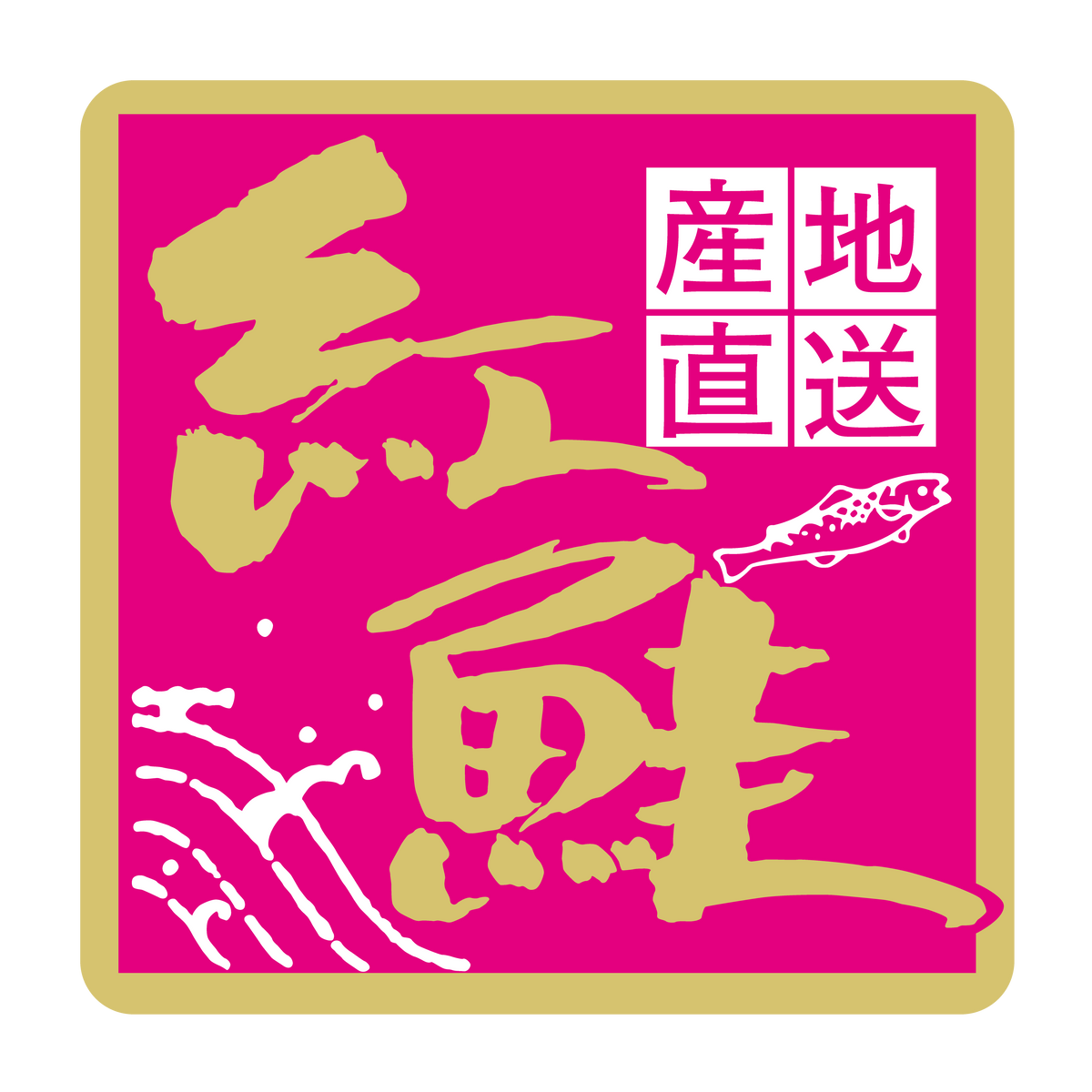 産地直送 紅鮭