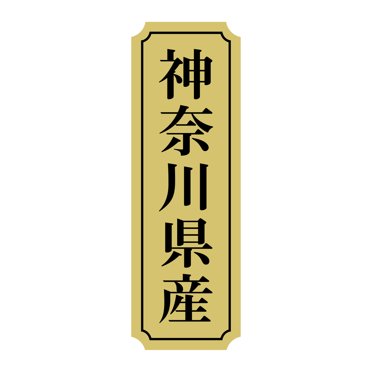 神奈川県産