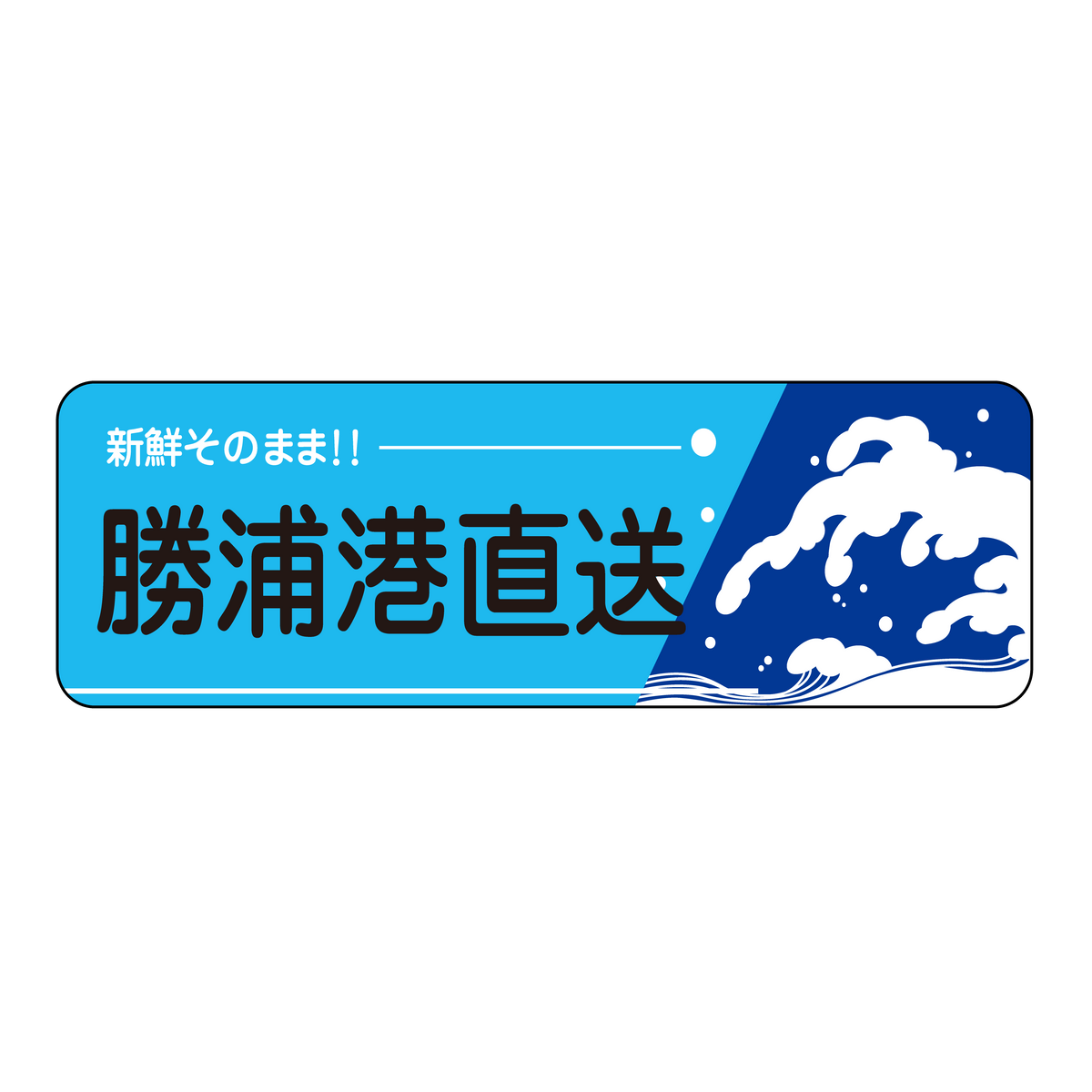 勝浦港直送