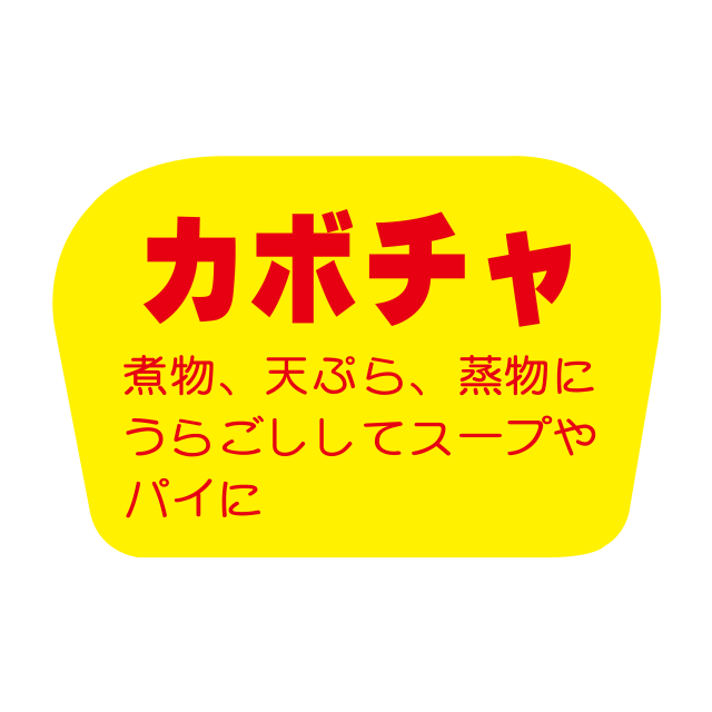 カボチャ