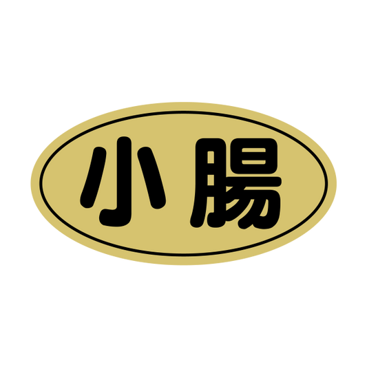 小腸 金ツヤ