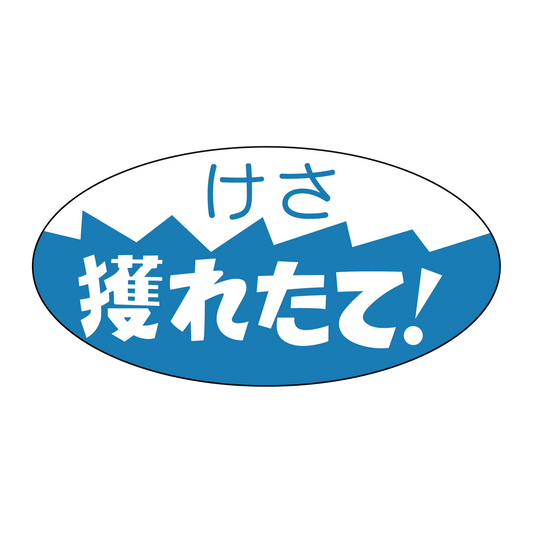 けさ獲れたて！