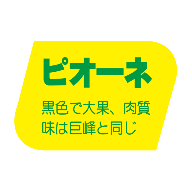 ピオ―ネ