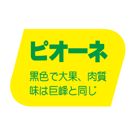 ピオ―ネ