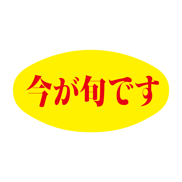 今が旬です